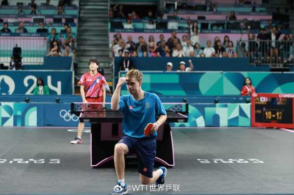 仅展示了球 仅展示了球